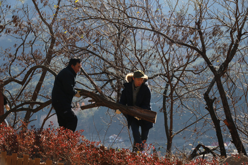 마을 주민의 주문대로 가지치기와 벽화그리기를 하는 봉사자들 (사진= 김아름내)