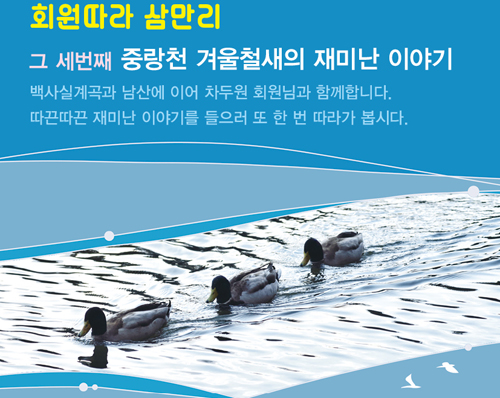서울환경운동연합이 시민과 함께 중랑천 생태기행을 떠난다.