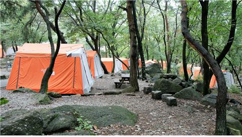 서울대공원 캠핑장 모습