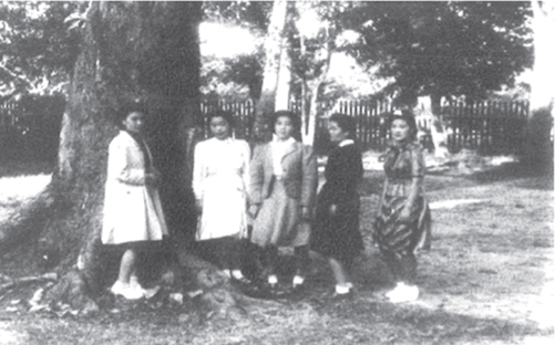 1945년 10월 태국 우본에서 촬영된 ‘위안부’였던 조선인 여성 사진.“다섯 명의 조선인 위안부Comfort Girls가 나무 앞에서 포즈를 취하고 있다는” 사진 설명이 붙어 있다 (사진= 서울시)