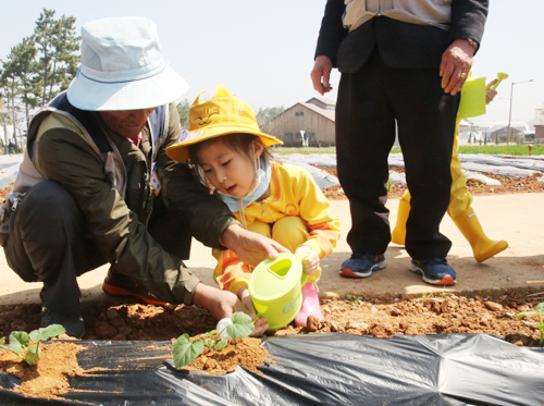 상하농원이 고창군 사회복지관과 협업해 유치원생과 농부 어르신이 함께 가꾸는 텃밭 프로그램을 진행한다 (사진= 상하농원)