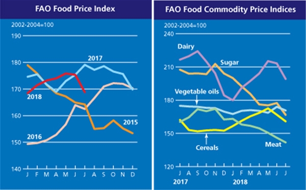 식량가격지수 (연도별·품목별) (농림축산식품부 제공)