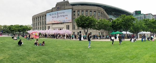 스타벅스커피코리아가 연중 실시하는 '서울, 꽃으로 피다' 캠페인 모습 (사진= 김아름내)
