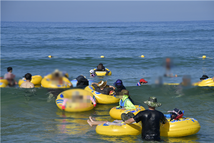 강원도 양양에 위치한 서울시 해변캠프에서 물놀이를 즐기는 시민들 (사진= 서울시 제공)