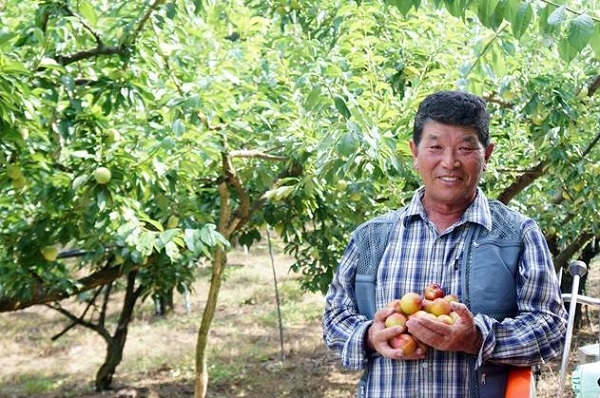 경북 군위군에서 자두 농사를 30년째 한 서성운 씨가 본인이 농사 지은 자두를 들고 환하게 웃고 있다. (사진=이랜드리테일 제공)