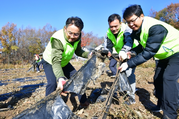 20일 김인태 부행장(왼쪽)과 직원들이 내포긴들마을에서 영농폐비닐 수거활동을 실시하고 있다.(사진=농협은행 제공)