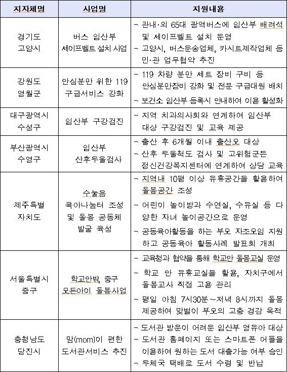 2019년 지방자치단체 출산지원정책 주요사례(제공=보건복지부)