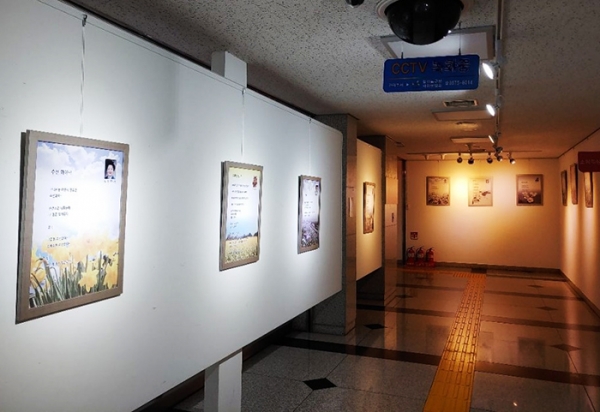 고양시 일산동구청 가온갤러리에 전시된 한국다선인예술협회 작가들의 작품 (사진= 한국다선인예술협회)