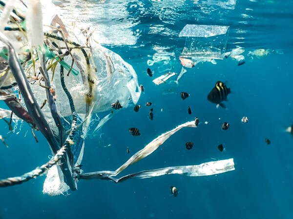 플라스틱에 오염된 바다 이미지(사진=언스플래시)